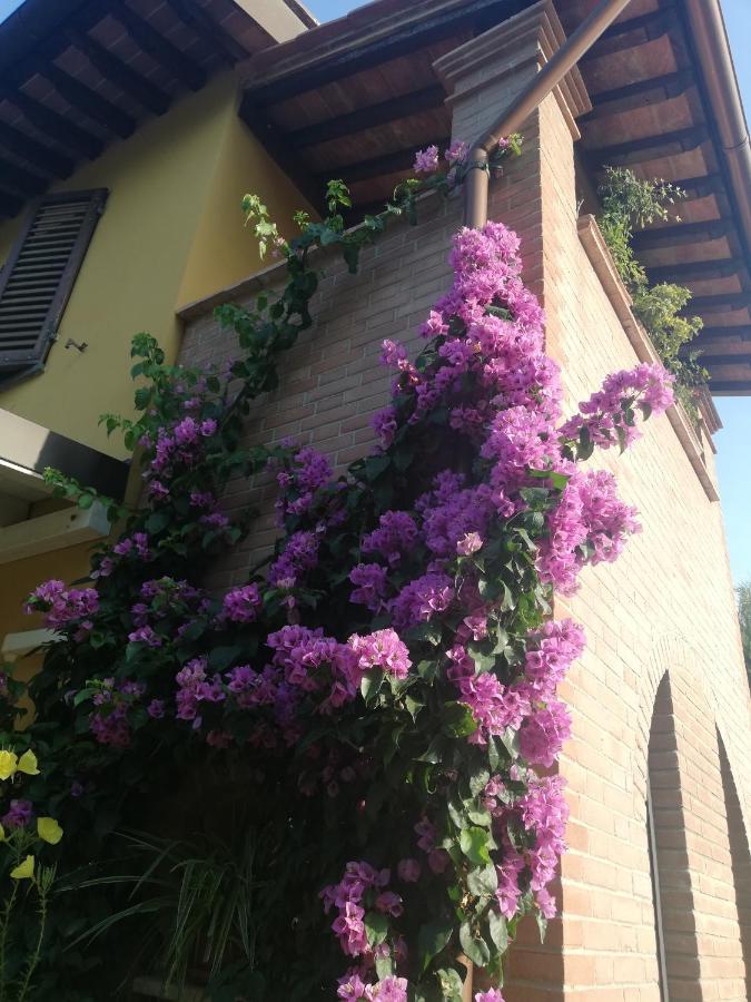 Casolare Isabella "Il Rifugio Dei Vinili" And Alice'S Room Ponsacco Buitenkant foto